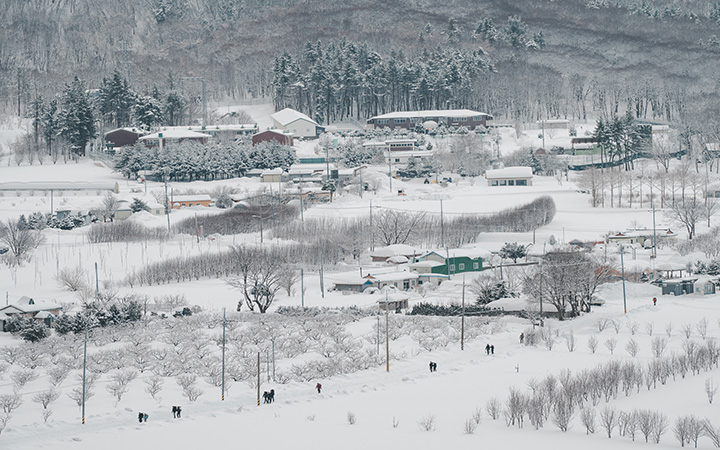 Ott Winter 2025 Ulleung by jekeunpark